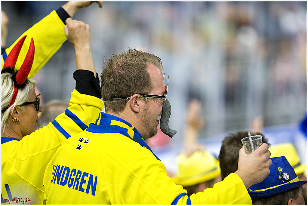 IIHF WM 2017, USA - Schweden, 08.05.2017